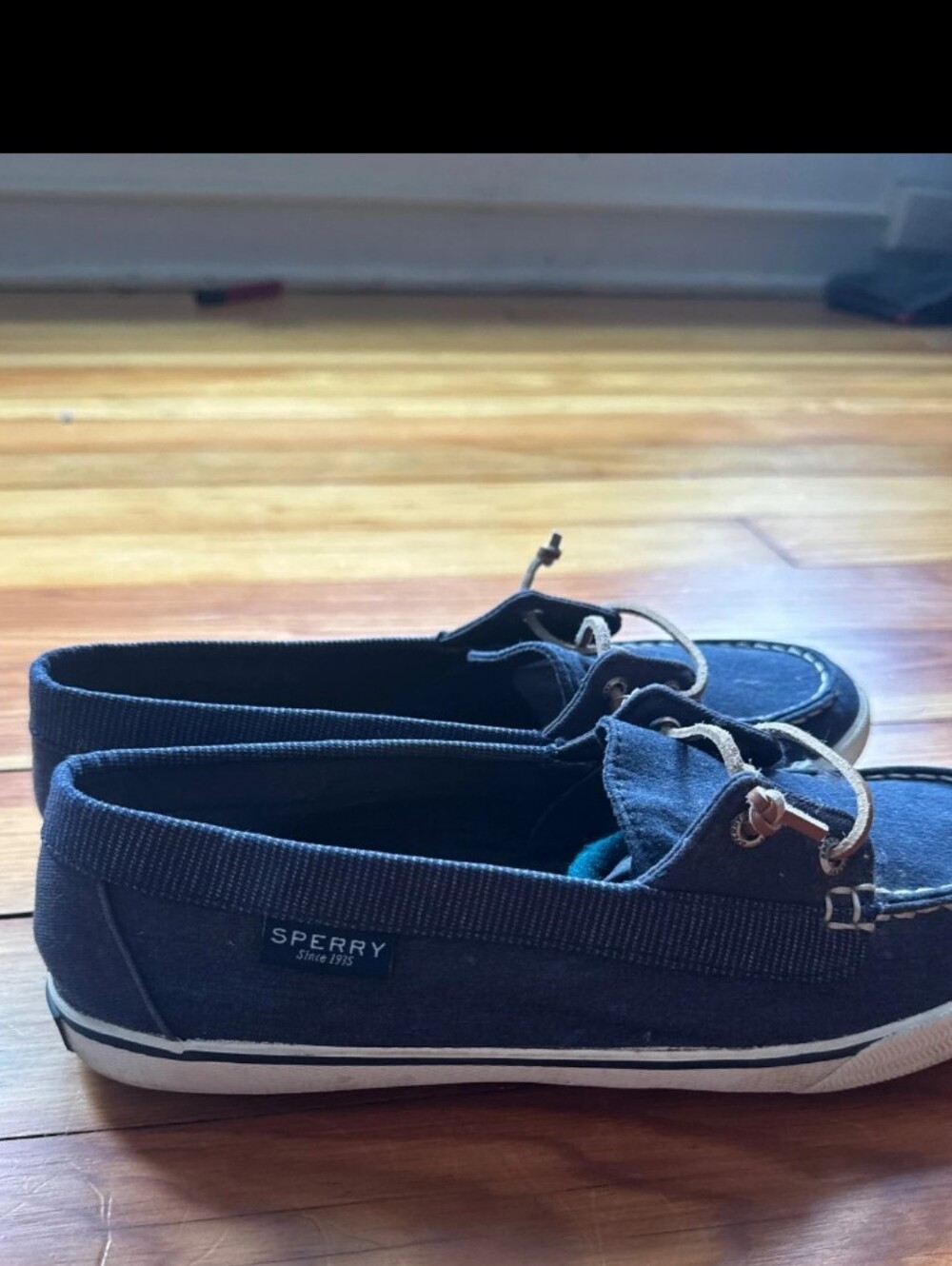 Sperry Navy Canvas Boat Shoes